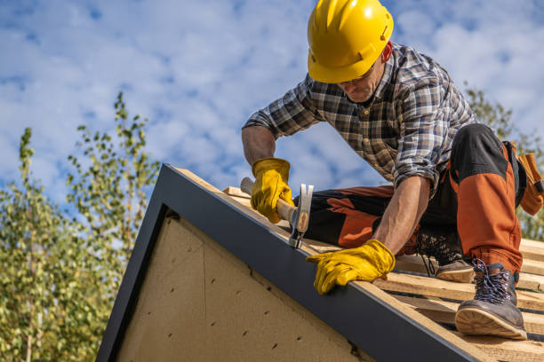 Best Chimney Flashing Repair  in Wheeler Af, HI